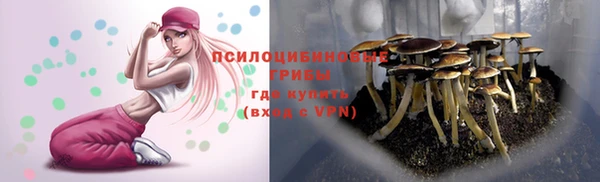альфа пвп Россошь