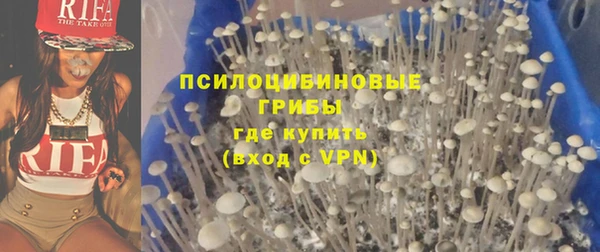 дмт Алексеевка